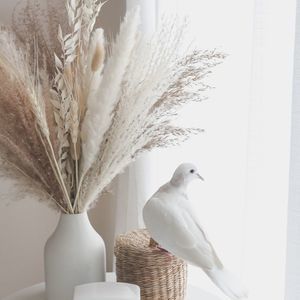 Meet your Posher, Adele